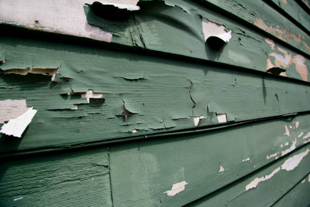 Best Historical Building Siding Restoration  in Spring Hill, FL